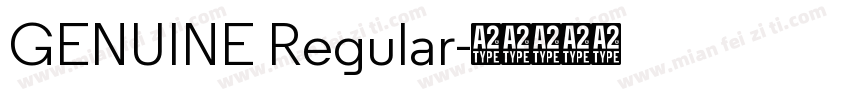 GENUINE Regular字体转换